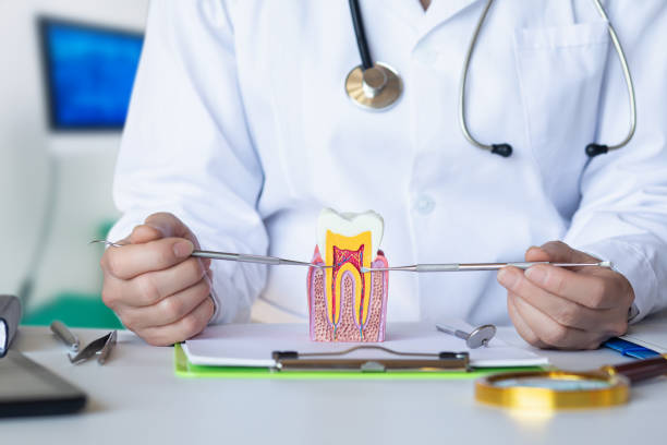 Best Emergency Dental Care for Broken or Chipped Teeth in Scottsbluff, NE